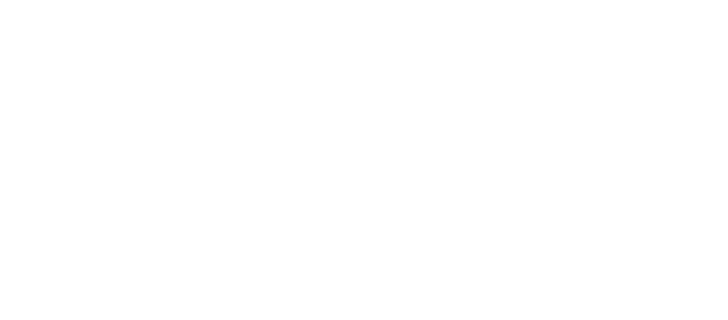 Instituto Superior Técnico